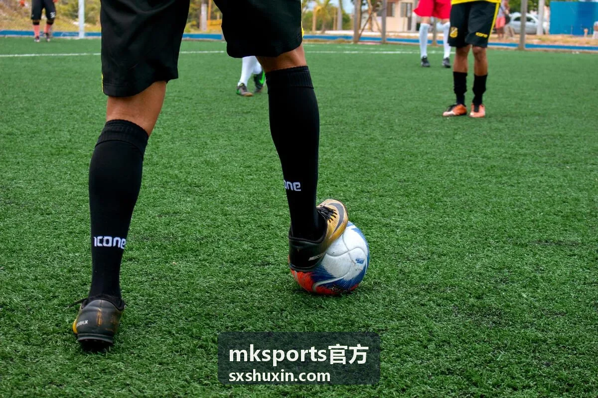 mksports官方游泳训练课程