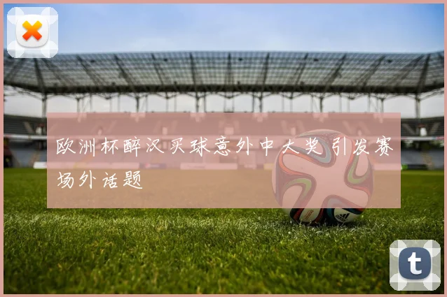 欧洲杯醉汉买球意外中大奖 引发赛场外话题