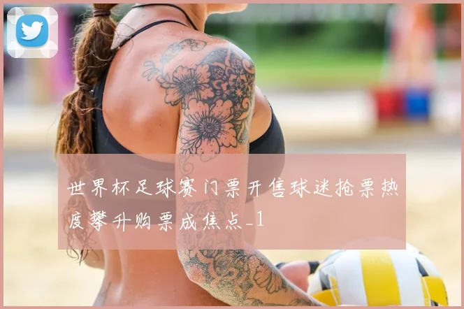 世界杯足球赛门票开售球迷抢票热度攀升购票成焦点_1